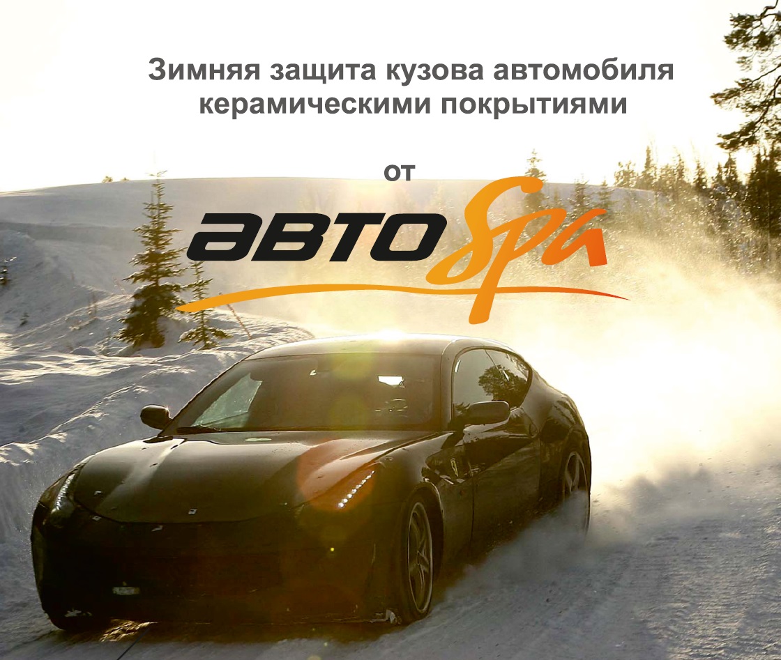 защита кузова на зиму фото